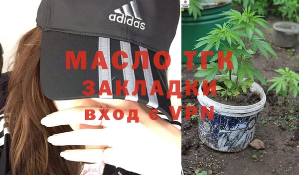 молекула духа Богородск