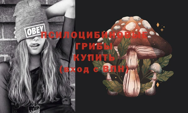 мдма Богородицк