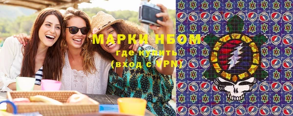 молекула духа Богородск