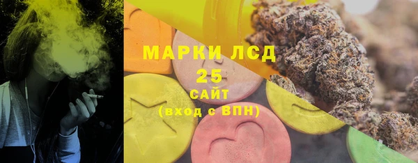 дживик Белокуриха